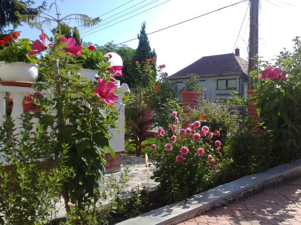 Bed and Breakfast Kristaly Apartman à Hévíz Extérieur photo